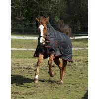 Read Discount Equestrian UK Ltd Reviews